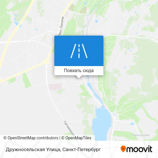 Карта Дружносельская Улица
