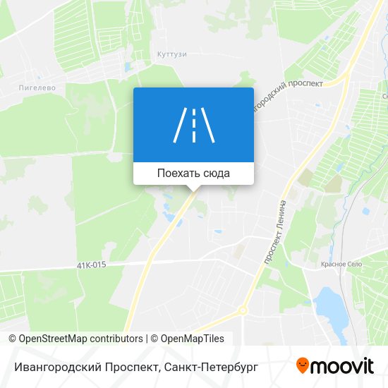 Карта Ивангородский Проспект