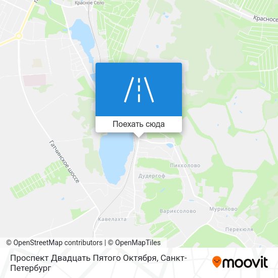 Карта Проспект Двадцать Пятого Октября