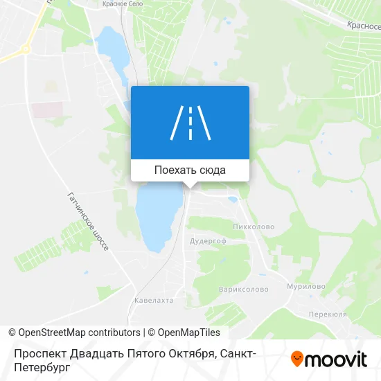 Карта Проспект Двадцать Пятого Октября