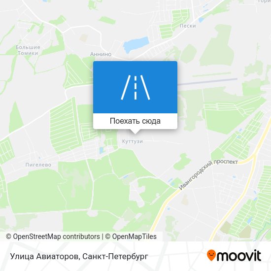 Карта Улица Авиаторов