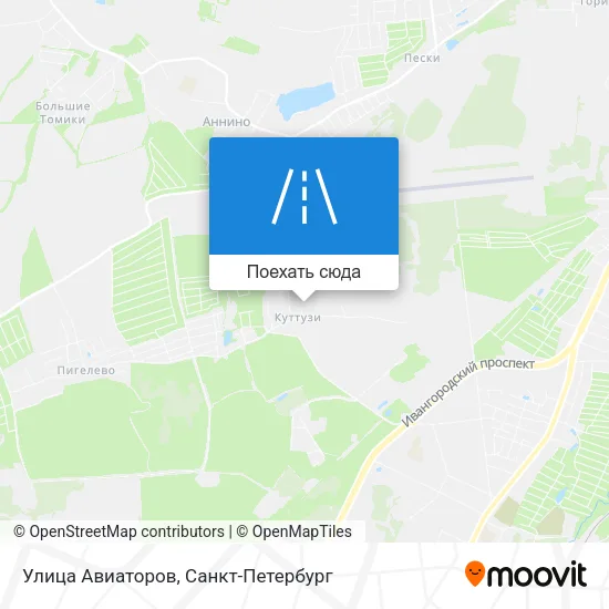 Карта Улица Авиаторов