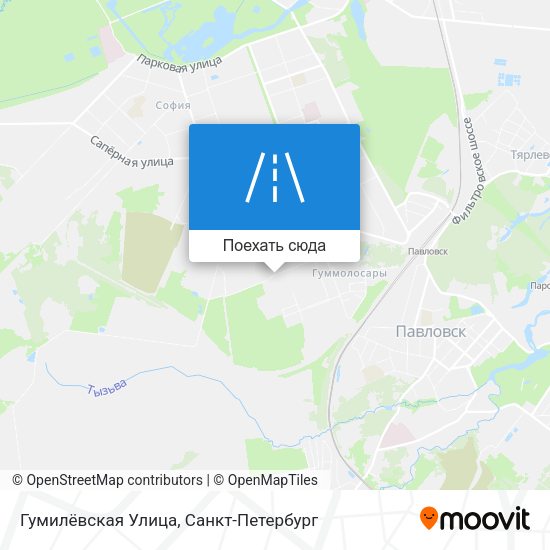 Карта Гумилёвская Улица