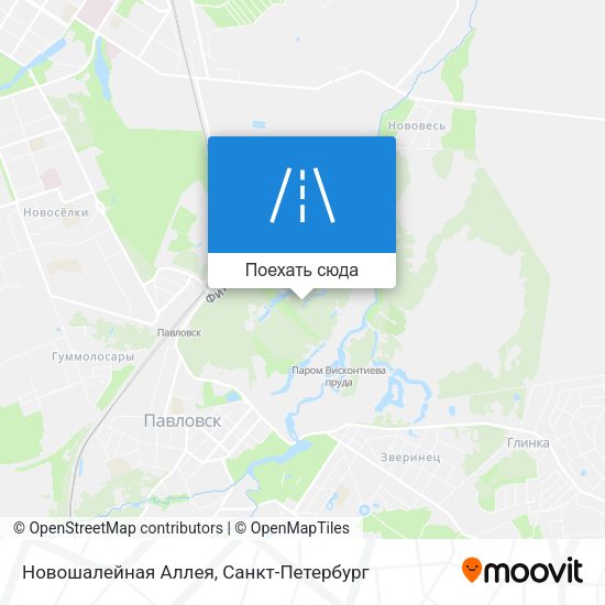 Карта Новошалейная Аллея