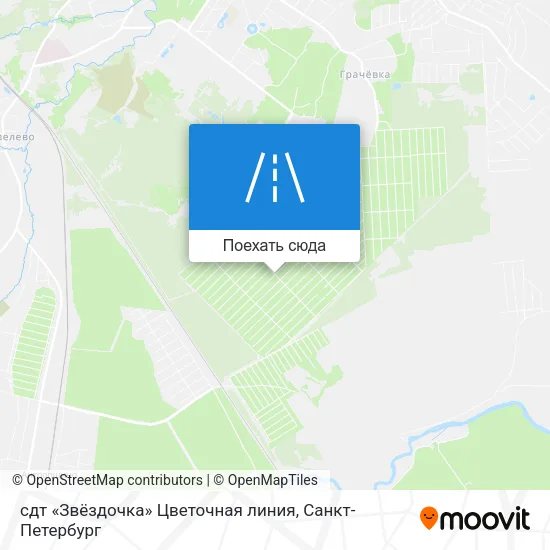 Карта сдт «Звёздочка» Цветочная линия