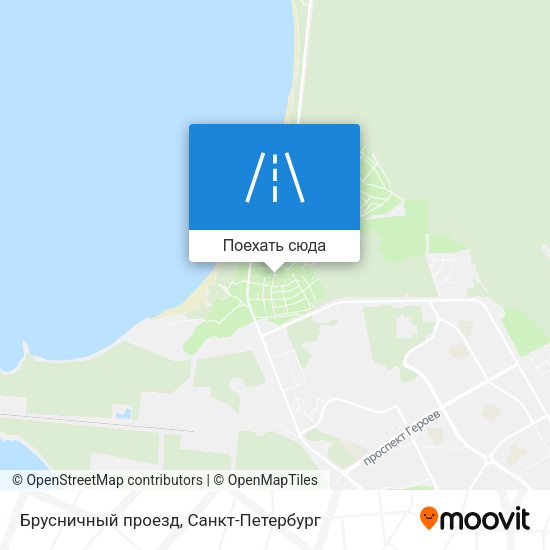 Карта Брусничный проезд