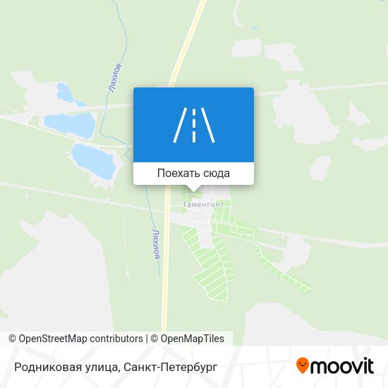 Карта Родниковая улица