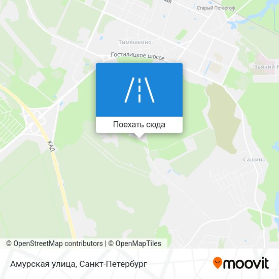 Карта Амурская улица