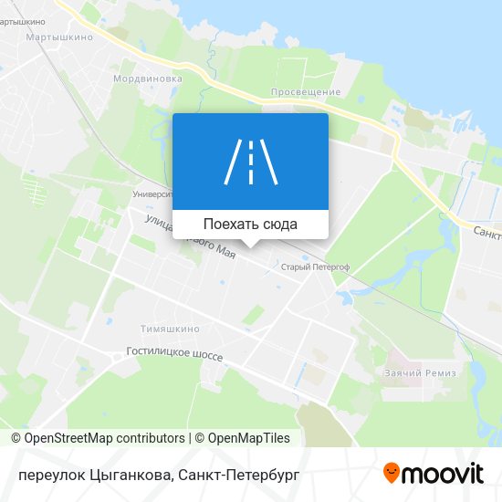 Карта переулок Цыганкова