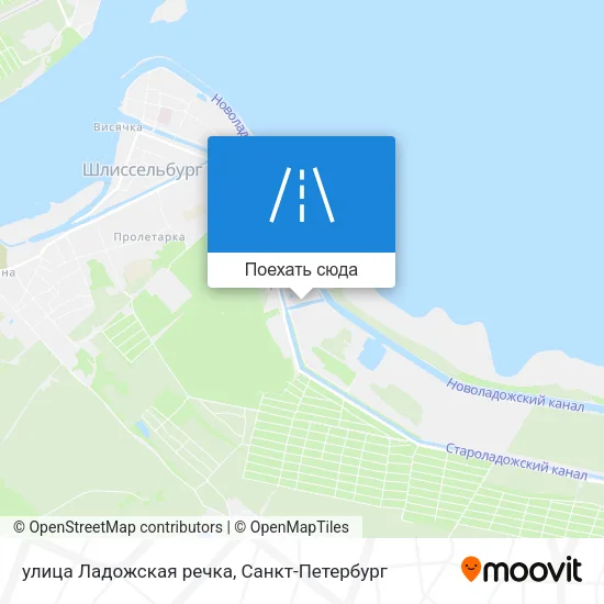 Карта улица Ладожская речка