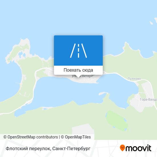Карта Флотский переулок