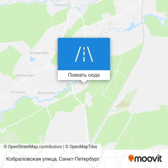Карта Кобраловская улица