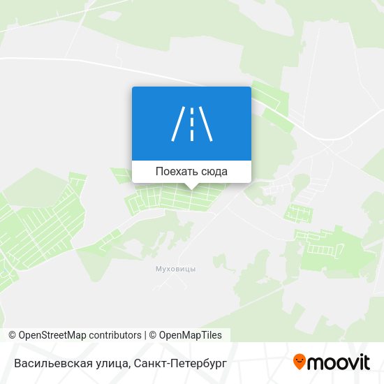 Карта Васильевская улица