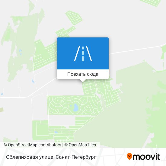 Карта Облепиховая улица