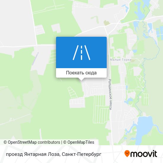 Карта проезд Янтарная Лоза