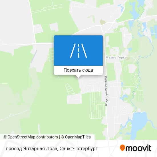 Карта проезд Янтарная Лоза