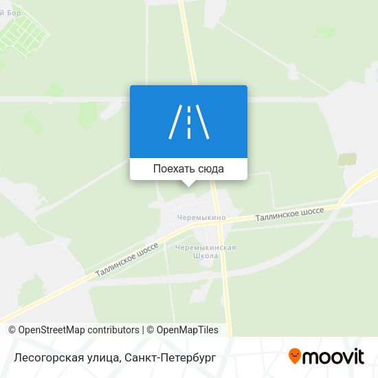 Карта Лесогорская улица
