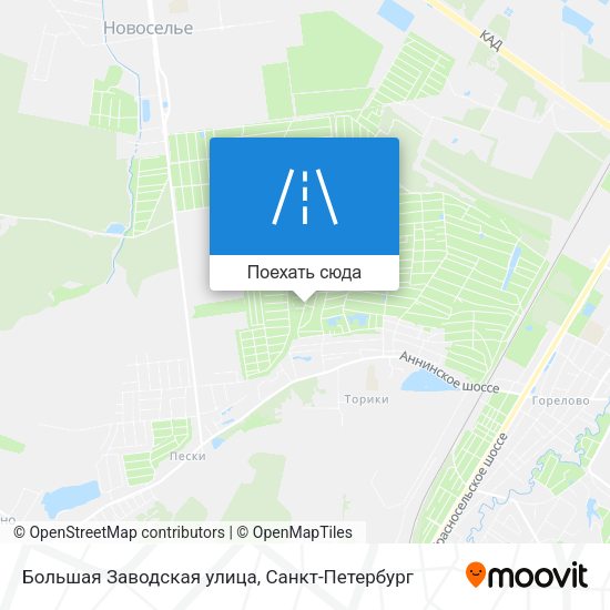Карта Большая Заводская улица