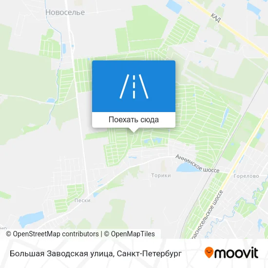 Карта Большая Заводская улица