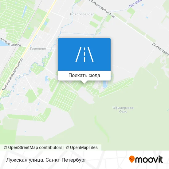 Карта Лужская улица