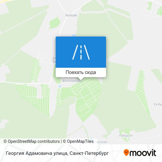 Карта Георгия Адамовича улица