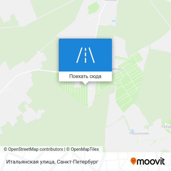 Карта Итальянская улица