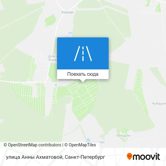 Карта улица Анны Ахматовой