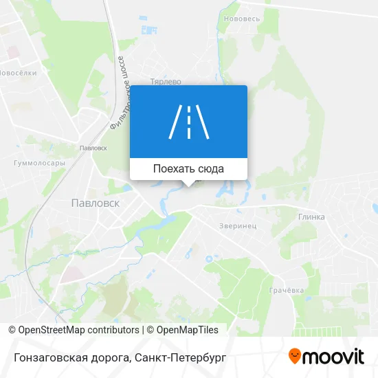 Карта Гонзаговская дорога