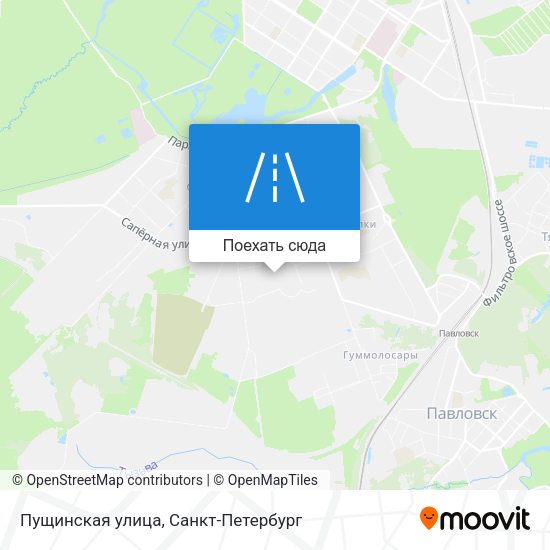 Карта Пущинская улица