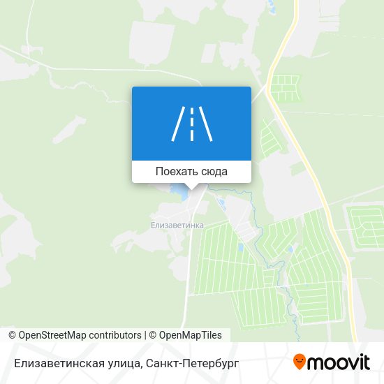 Карта Елизаветинская улица