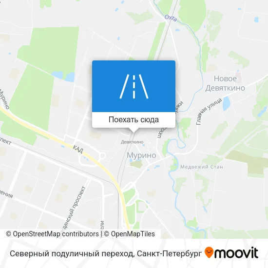 Карта Северный подуличный переход