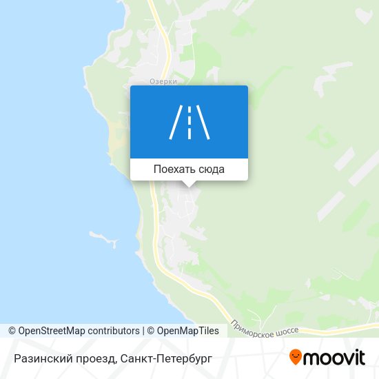 Карта Разинский проезд