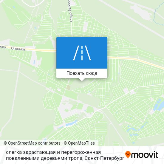 Карта слегка зарастающая и перегороженная поваленными деревьями тропа