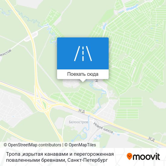Карта Тропа ,изрытая канавами и перегороженная поваленными бревнами