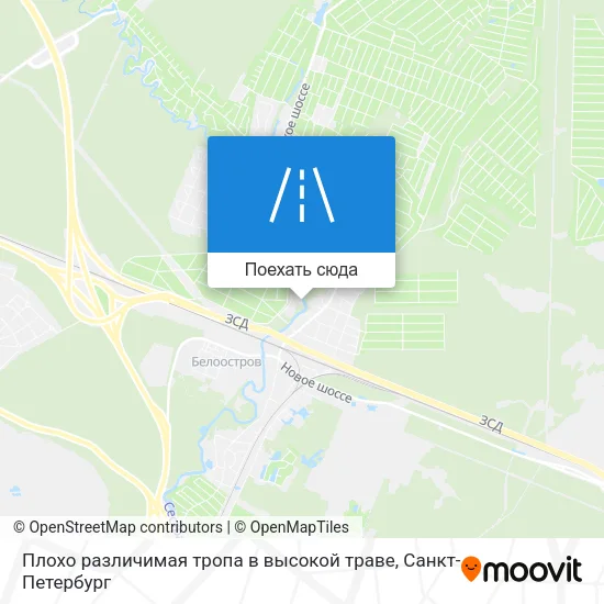 Карта Плохо различимая тропа в высокой траве