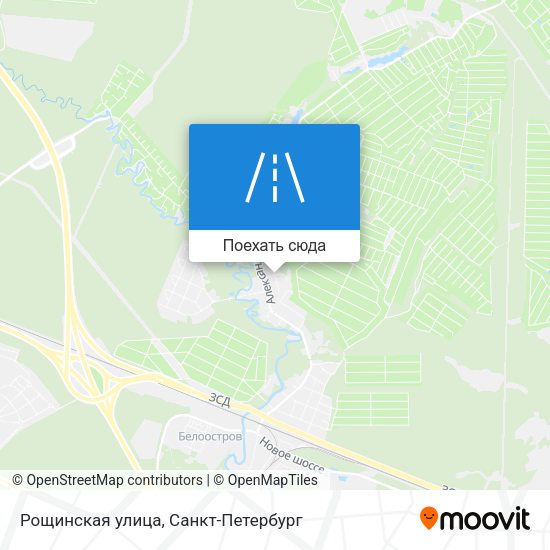 Карта Рощинская улица