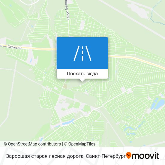 Карта Заросшая старая лесная дорога