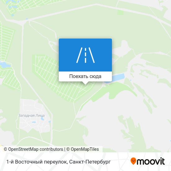 Карта 1-й Восточный переулок