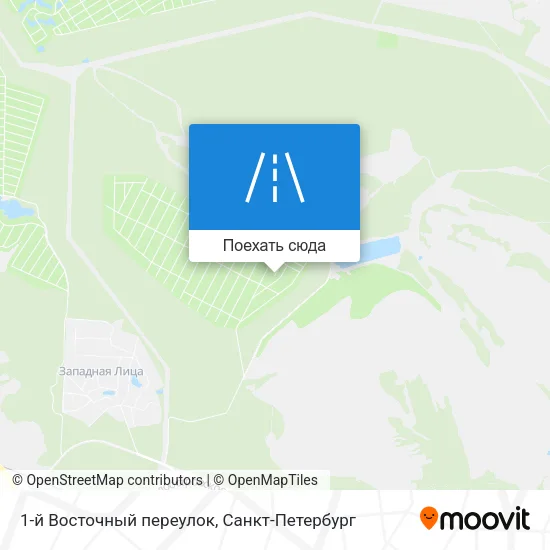 Карта 1-й Восточный переулок