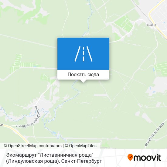 Карта Экомаршрут "Лиственничная роща" (Линдуловская роща)