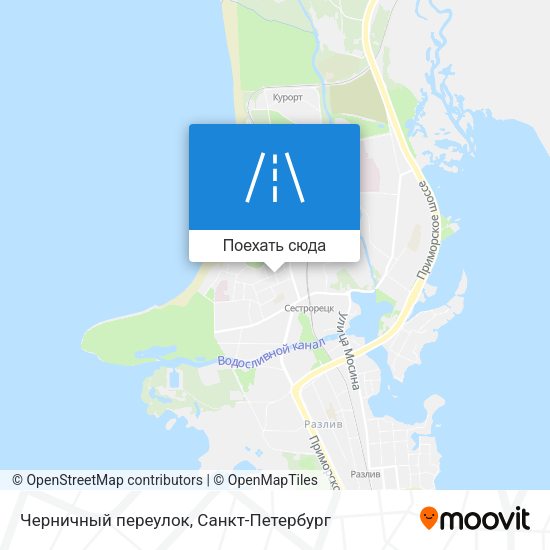 Карта Черничный переулок