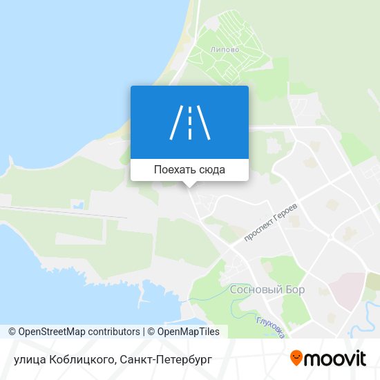 Карта улица Коблицкого