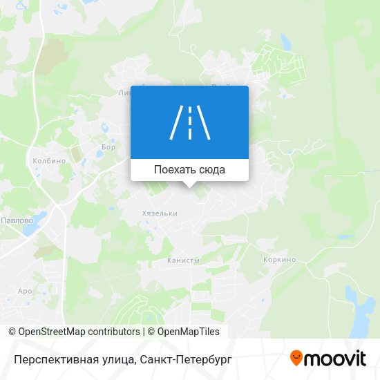Карта Перспективная улица