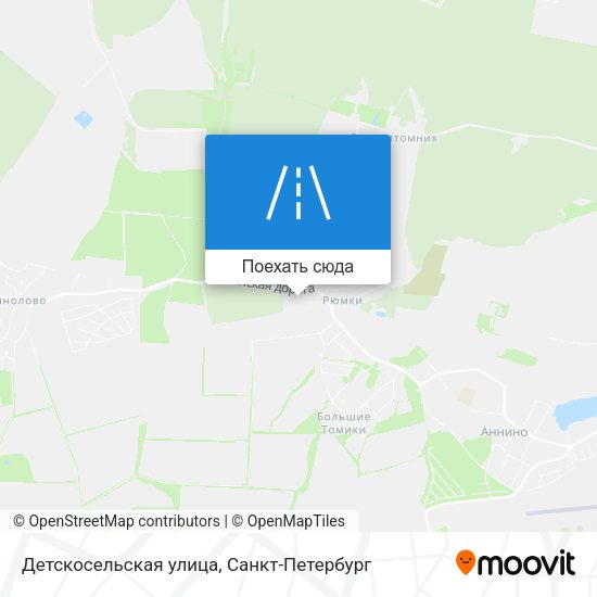 Карта Детскосельская улица