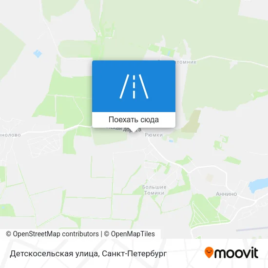 Карта Детскосельская улица