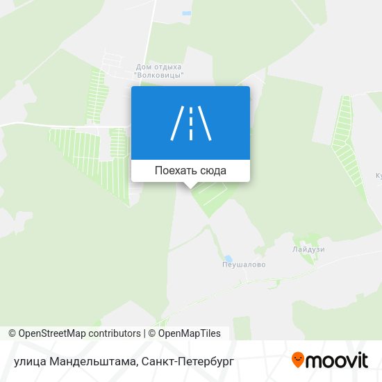 Карта улица Мандельштама