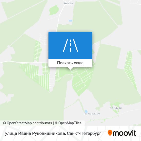 Карта улица Ивана Руковишникова