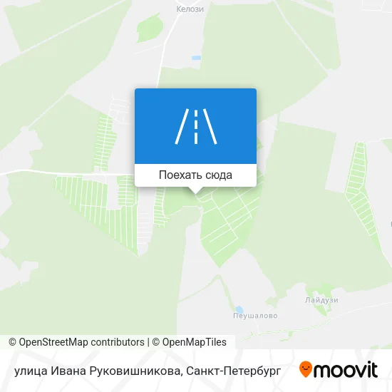Карта улица Ивана Руковишникова