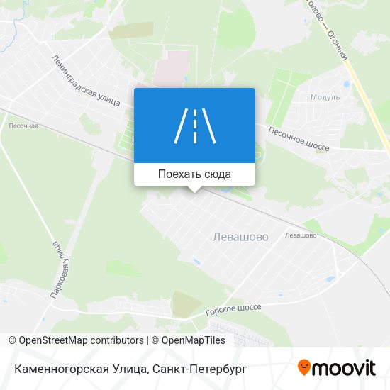 Карта Каменногорская Улица