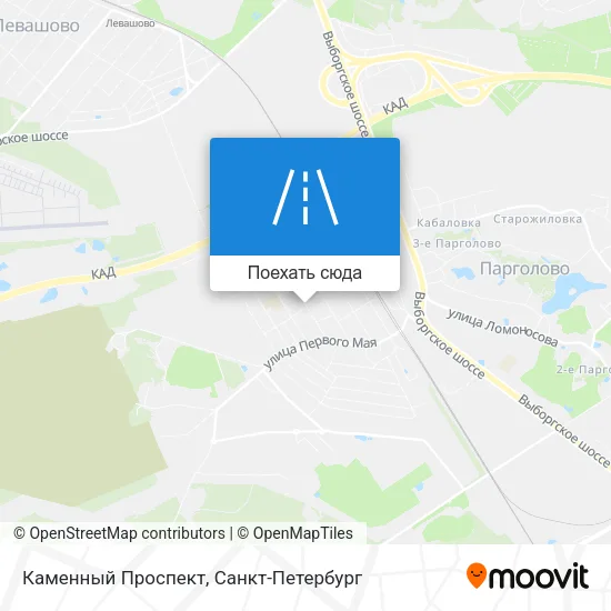 Карта Каменный Проспект